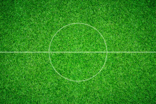 VIP尊享体验示意图